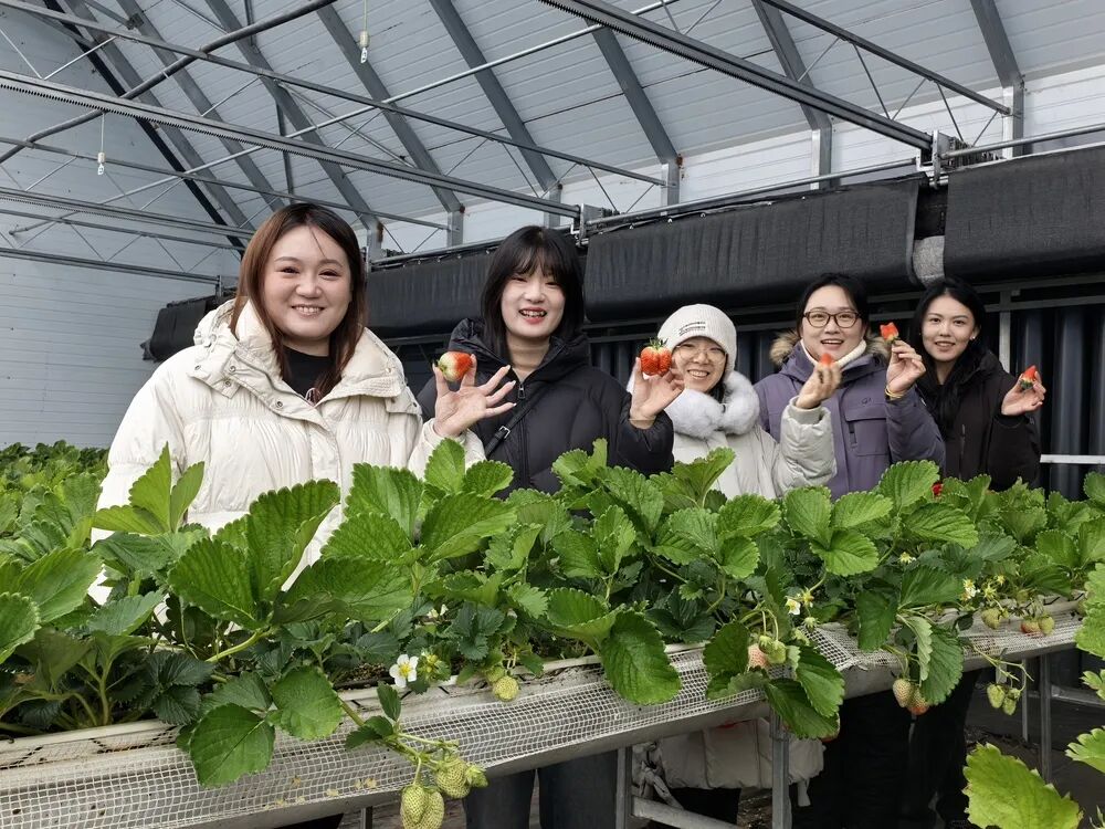 【央广网】牡丹江:莓红棘黄映雪白,农旅融合启新篇