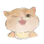 爱吃肉的猫
