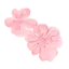 樱花小镇
