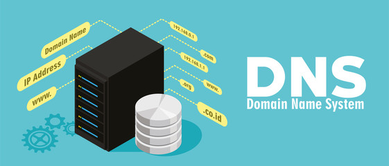 本站提供DNS服务！