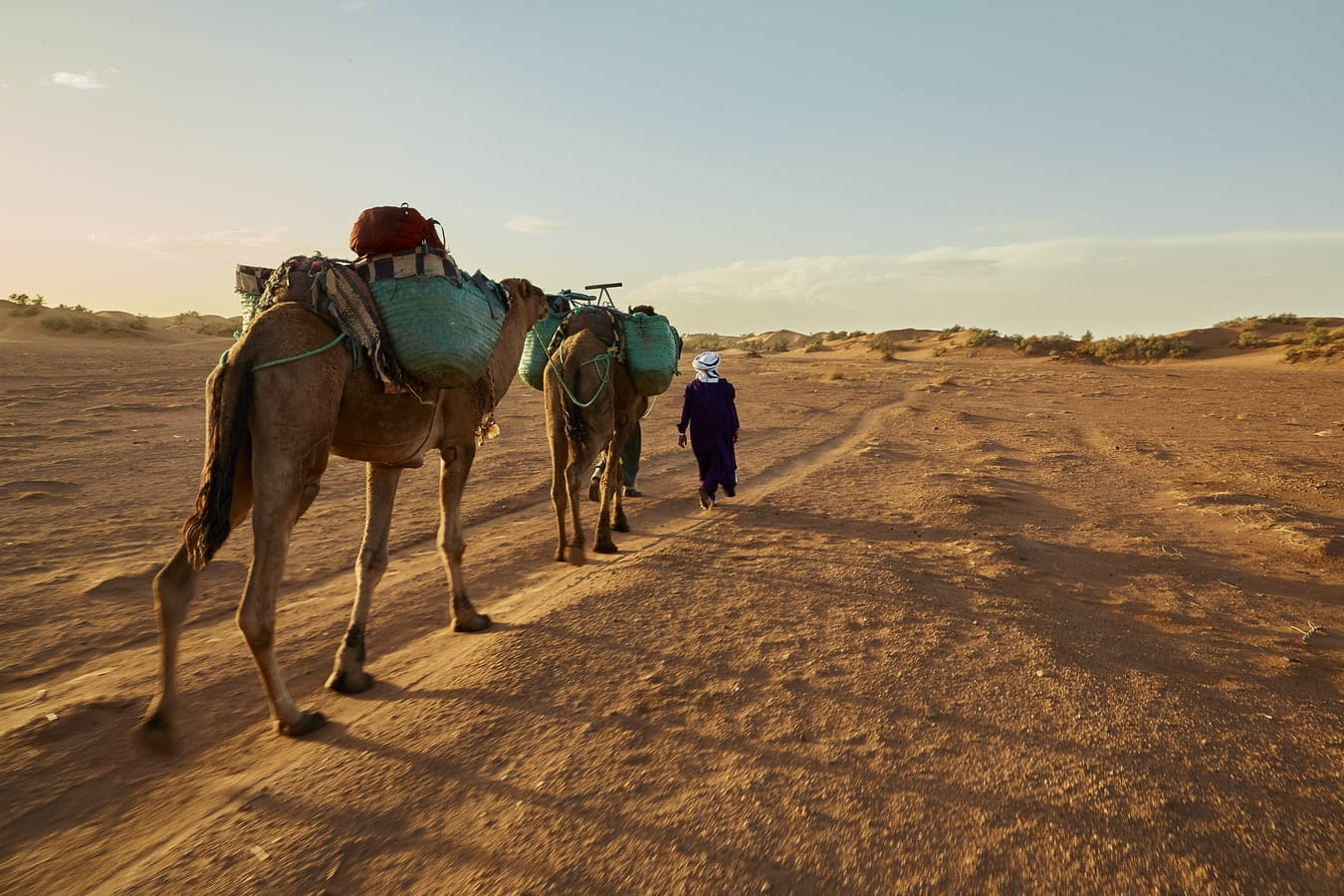 Much more than a desert: A trip into the Sahara