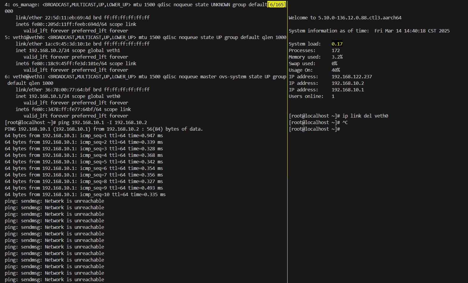 vm_ip_link_del_veth0