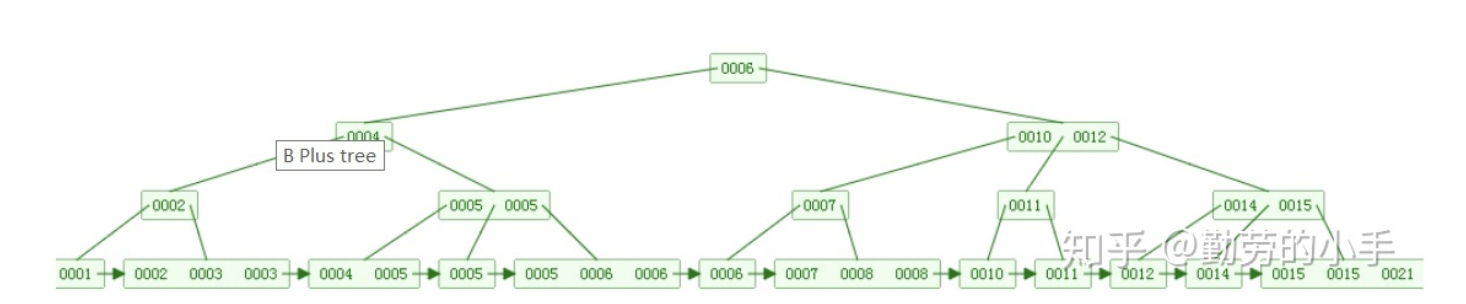 image-20220206155018079