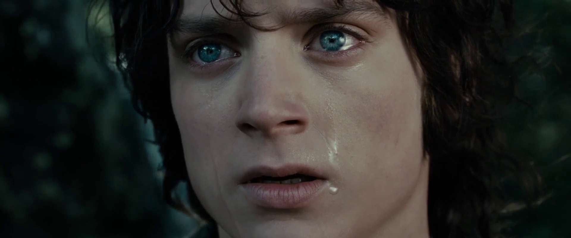 frodo.jpg