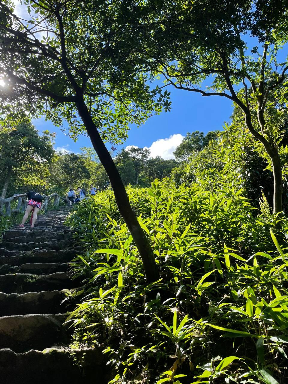 wutong-mountain-2.jpg