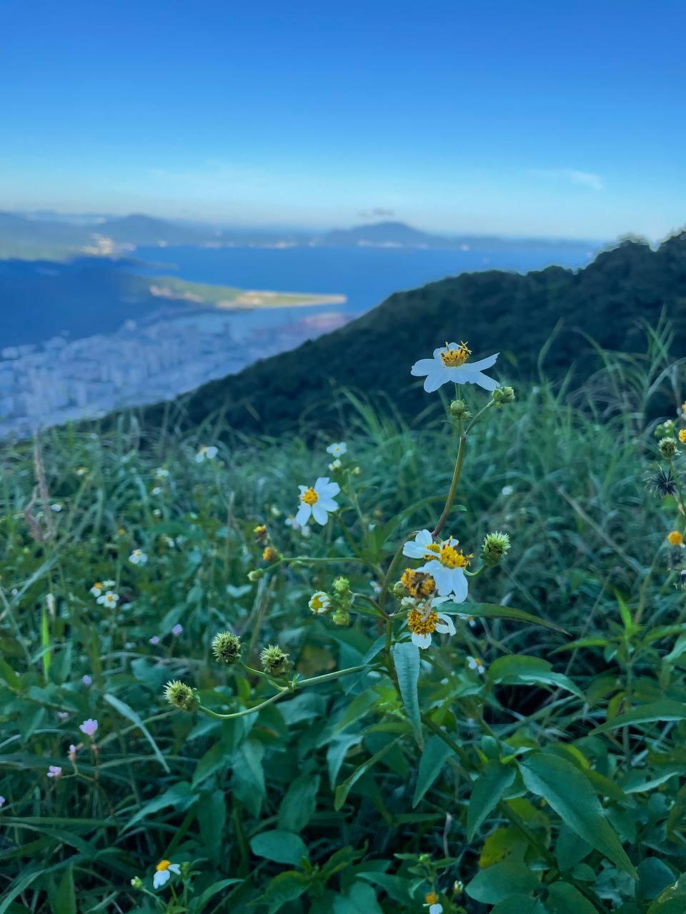 wutong-mountain-5.jpg