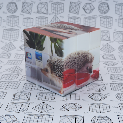 Mine-Lucy the Hedghog