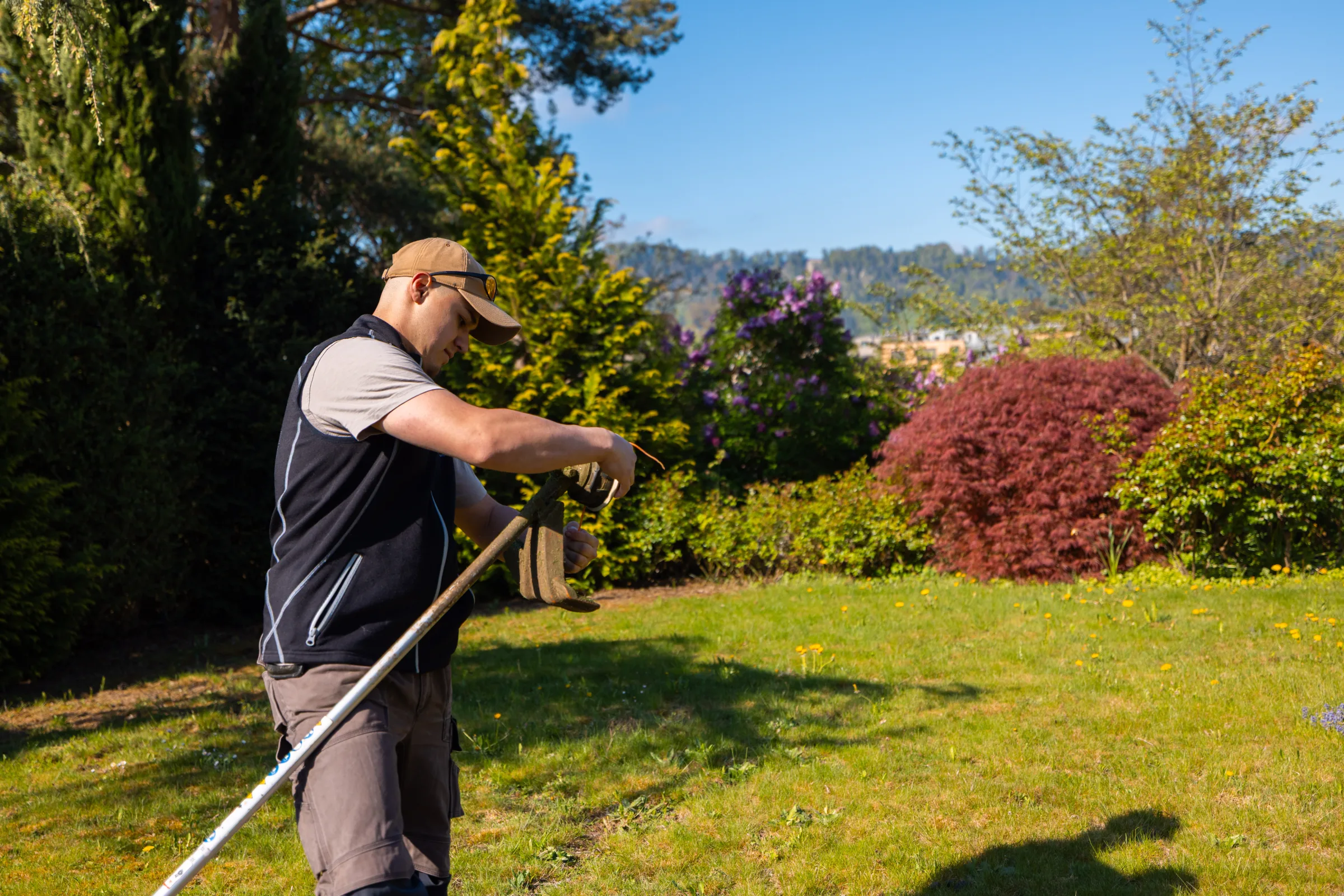 Pflegegang mit Stab-Heckenschere: Gartenunterhalt-Leistung