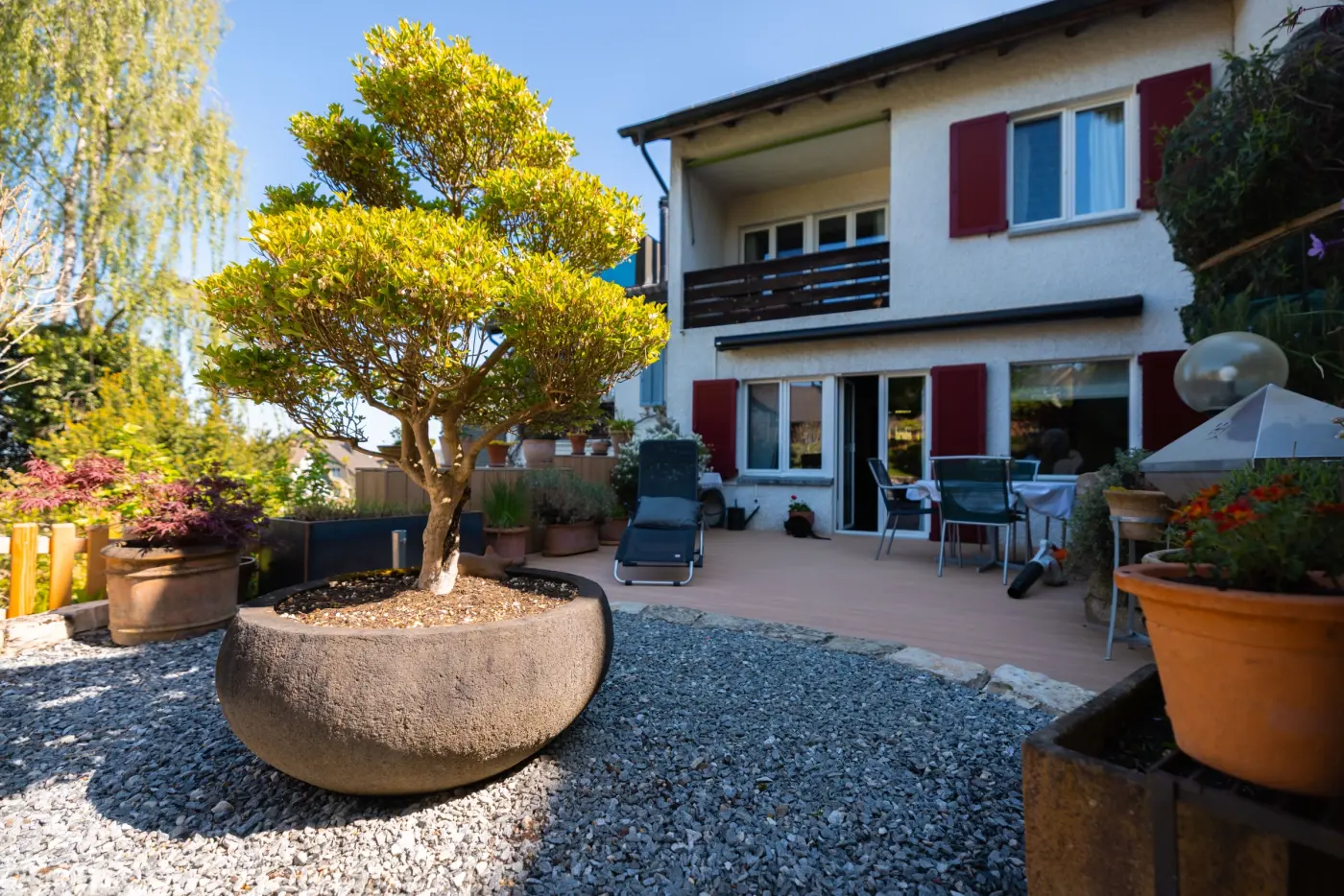 Bonsai-Skulptur in einer Steinschale