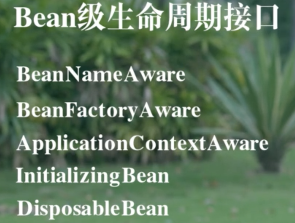 image-20220605225108677