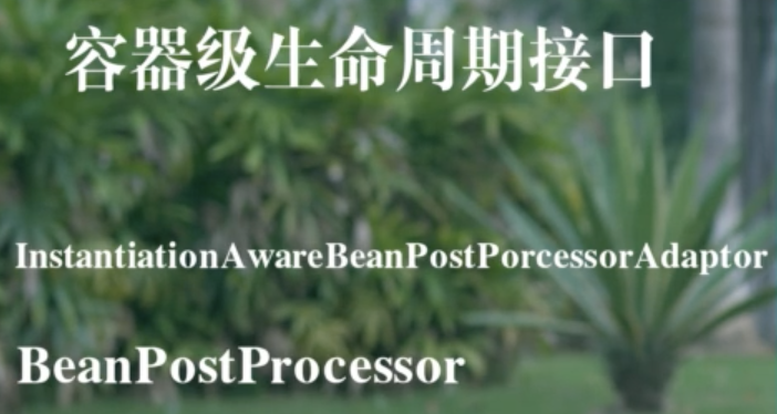 image-20220605225525762