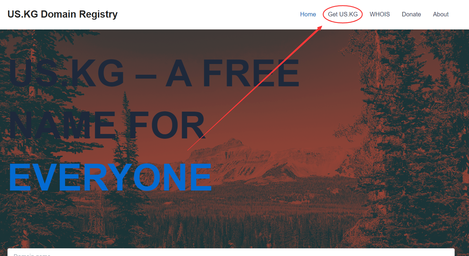 免费注册US.KG域名：从身份生成到Cloudflare托管的全流程指南