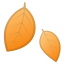 :fallen_leaf: