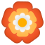 :rosette: