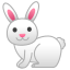 :rabbit2: