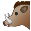 :boar: