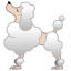 :poodle: