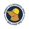 Mullvad icon