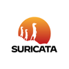 Suricata / Zeek Hosting icon