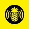 Hak5 WiFi Pineapple Nano icon