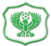 المصري البورسعيدي