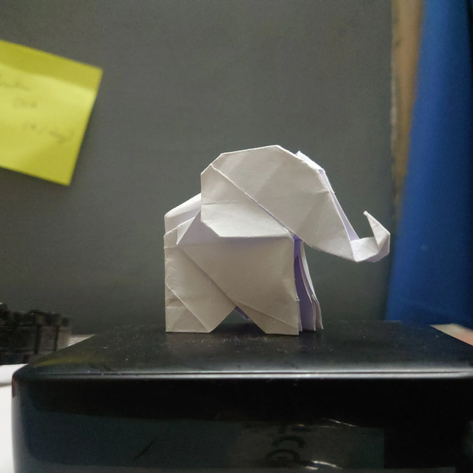 elephant_pic_2