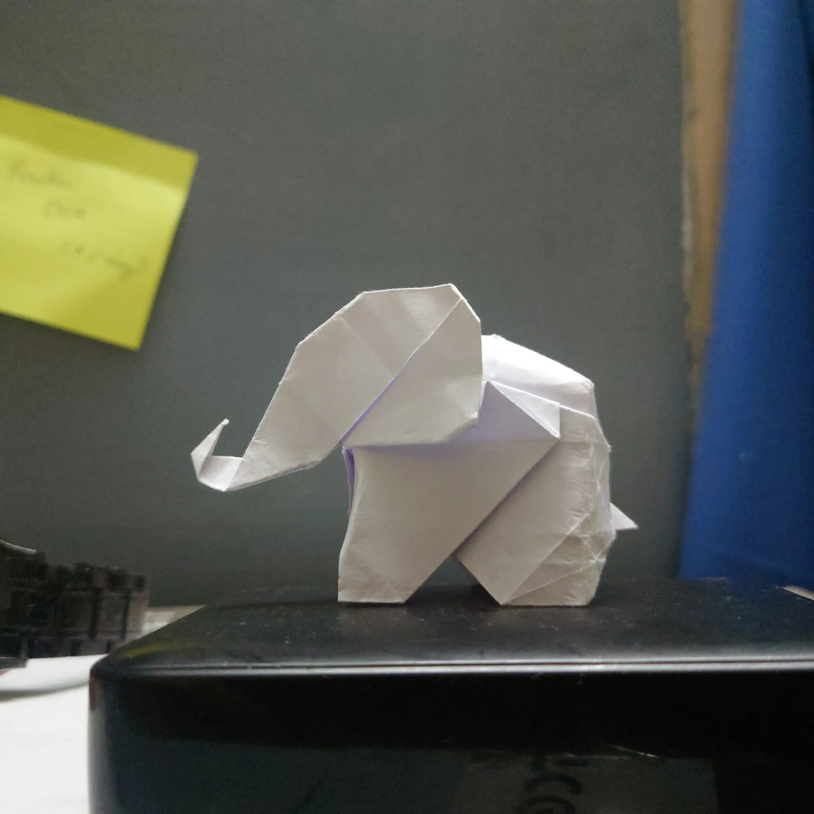 elephant_pic_3