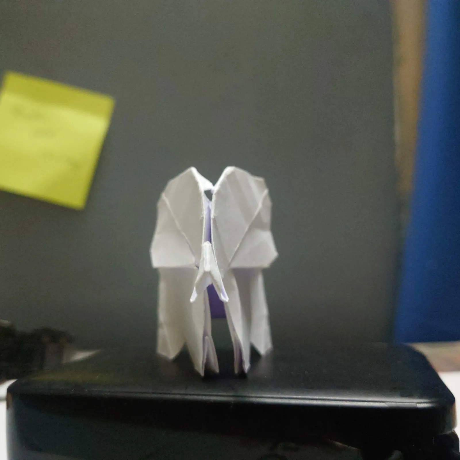 elephant_pic_5