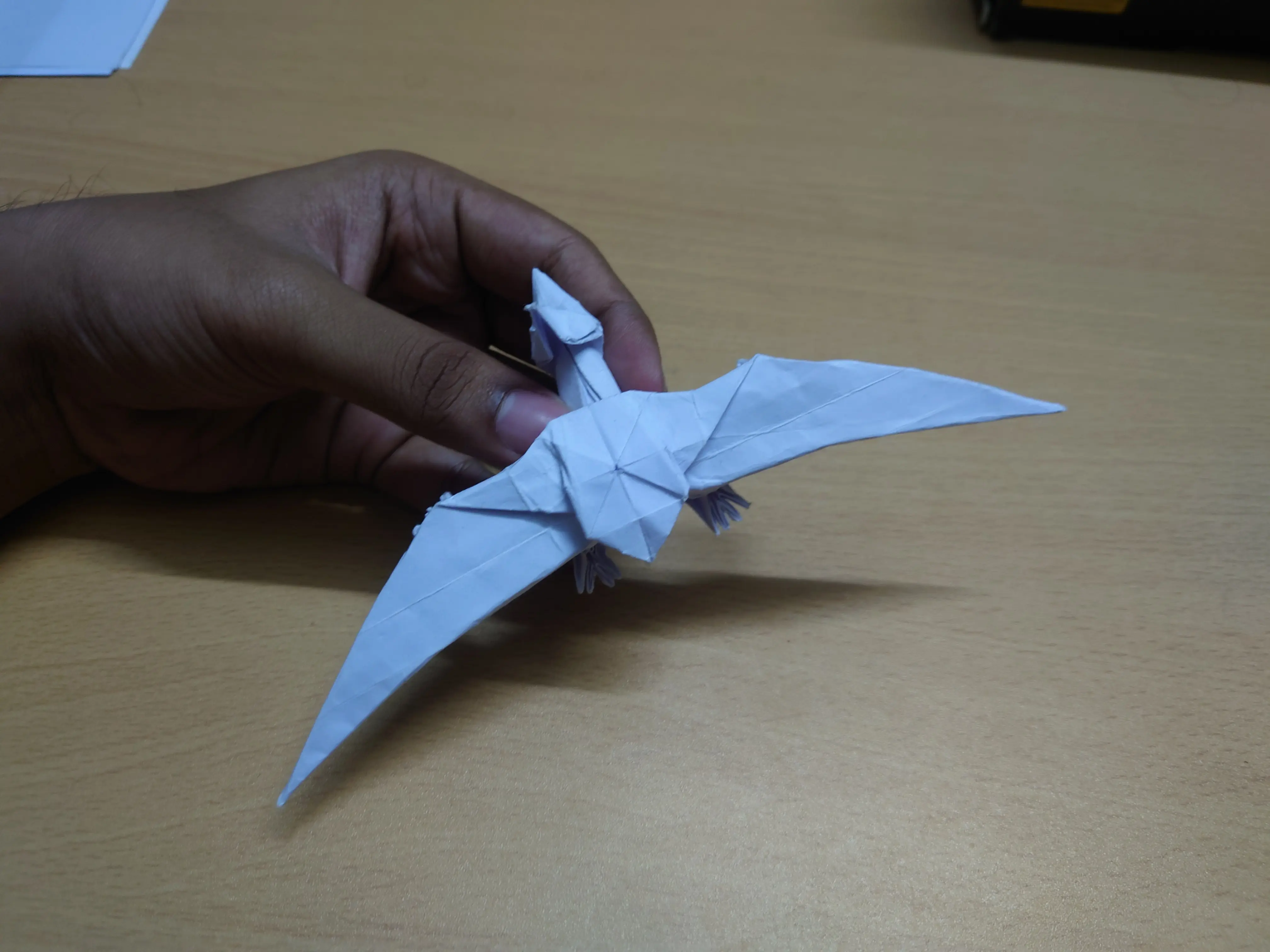 geosternbergia_pic_5