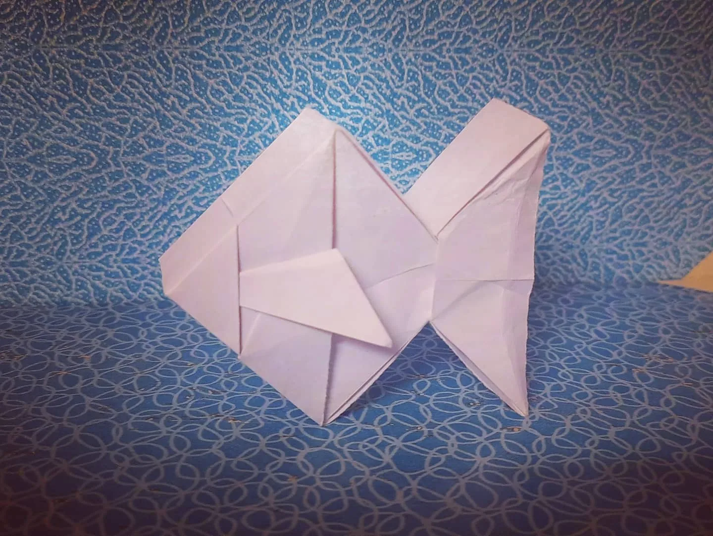 Gold Fish Type Square