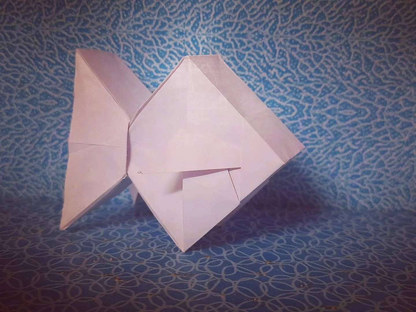 gold_fish_type_square_pic_2