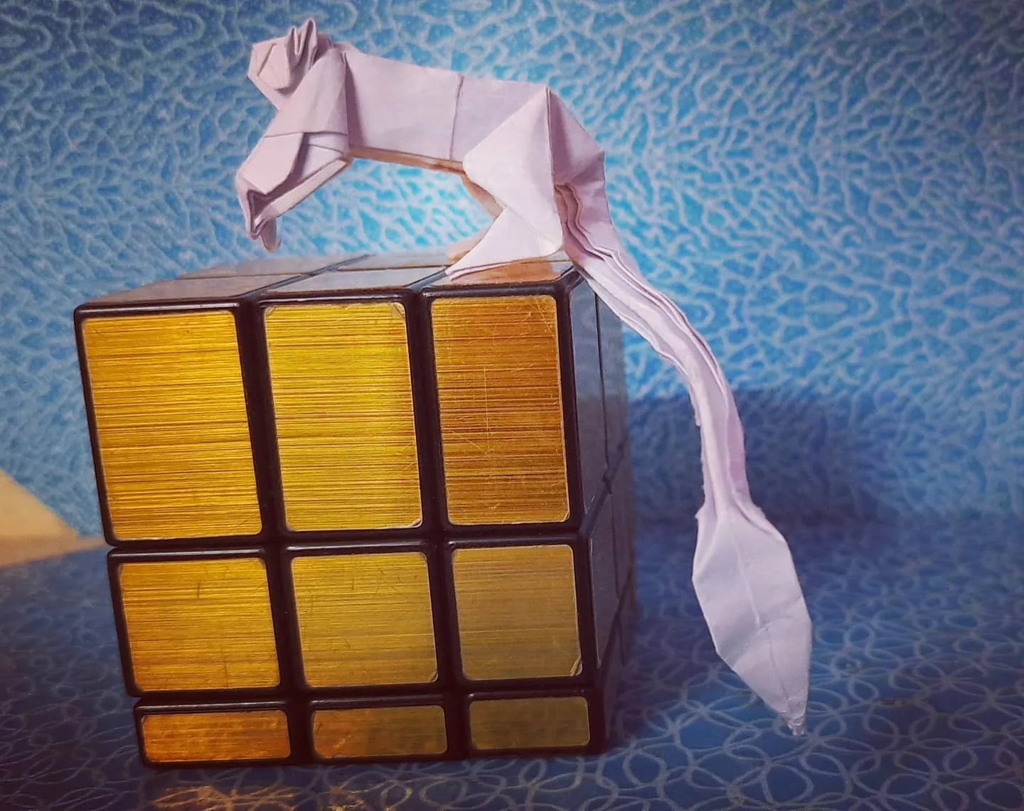 golden_tamarin_pic_2