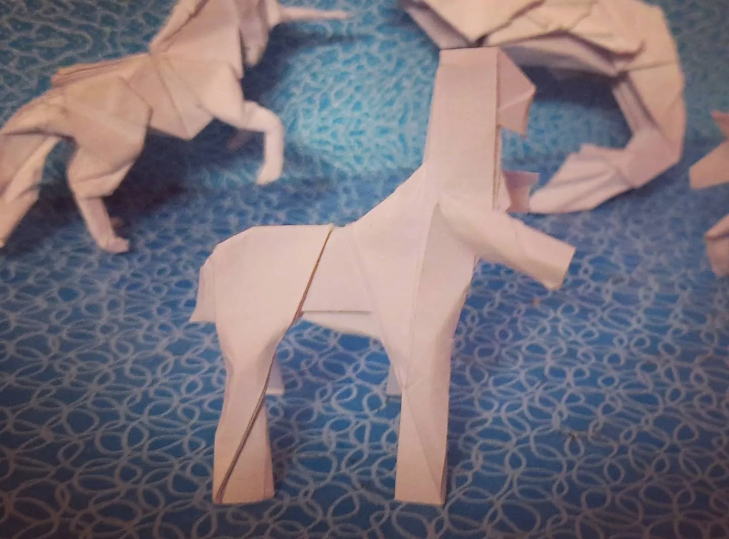 horses_lineup_2_pic_2