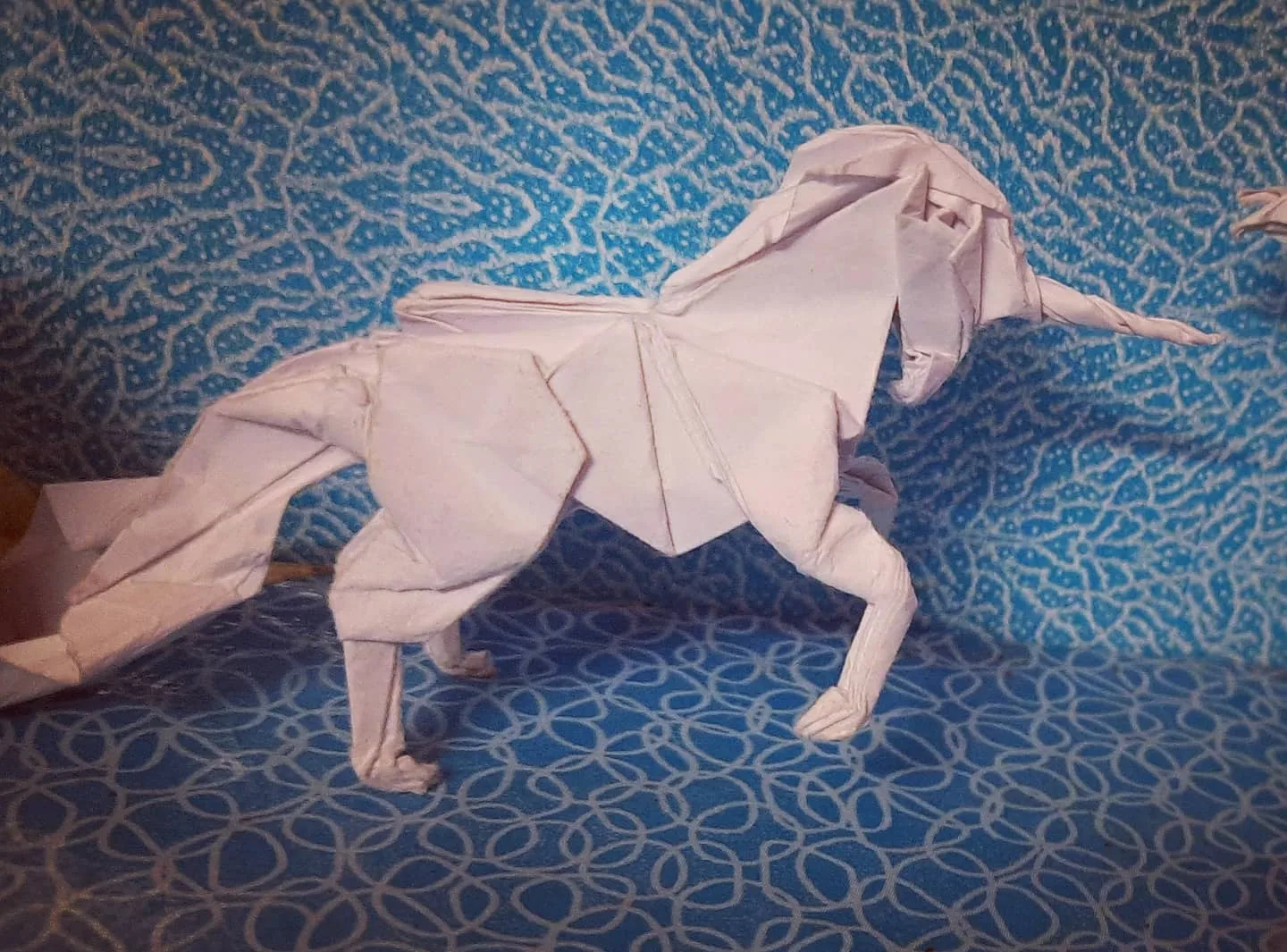 horses_lineup_2_pic_4