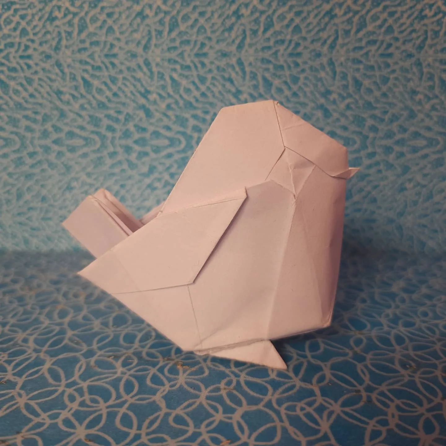 long_tailed_tit_pic_4