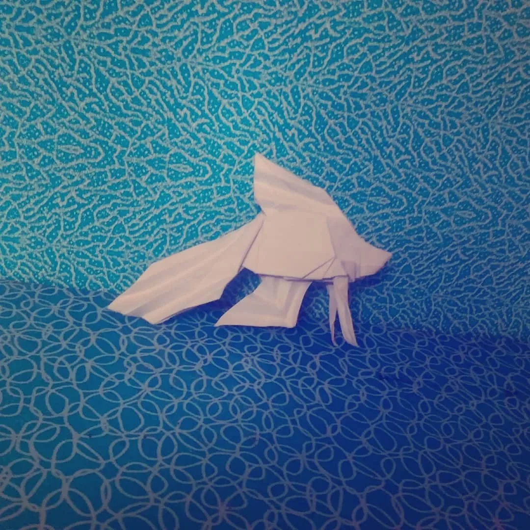 Siamese Fighting Fish