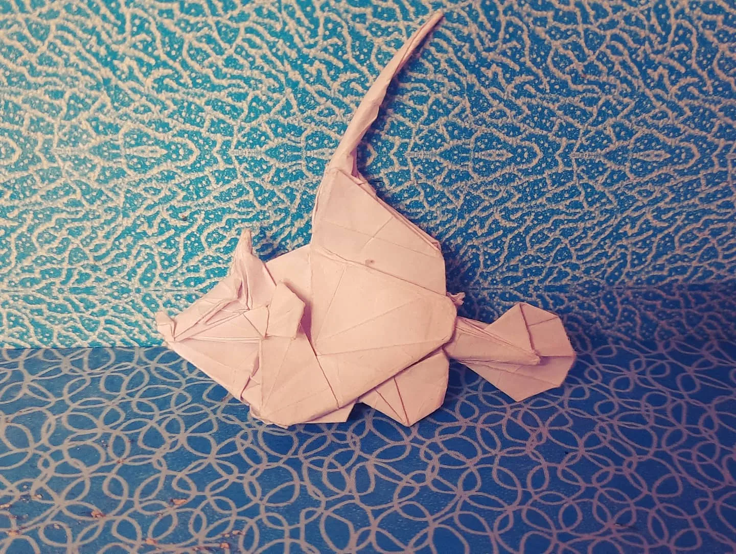 Thread-sail Filefish