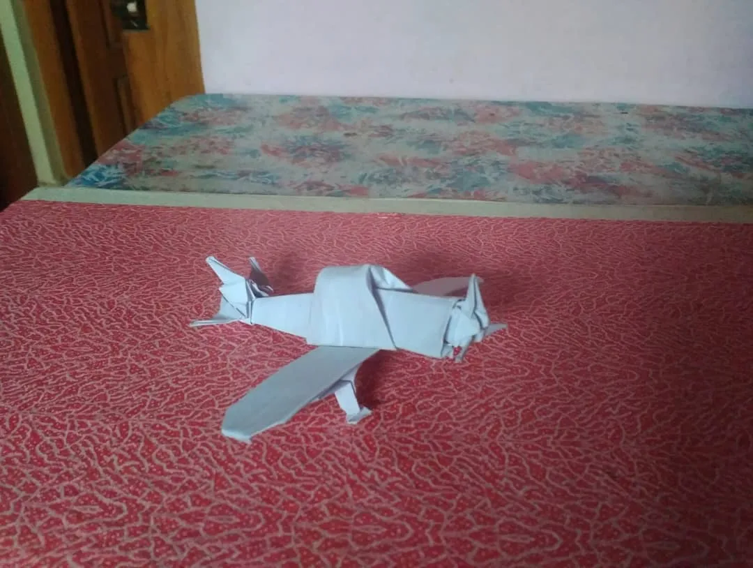 zero_fighter_plane_pic_5