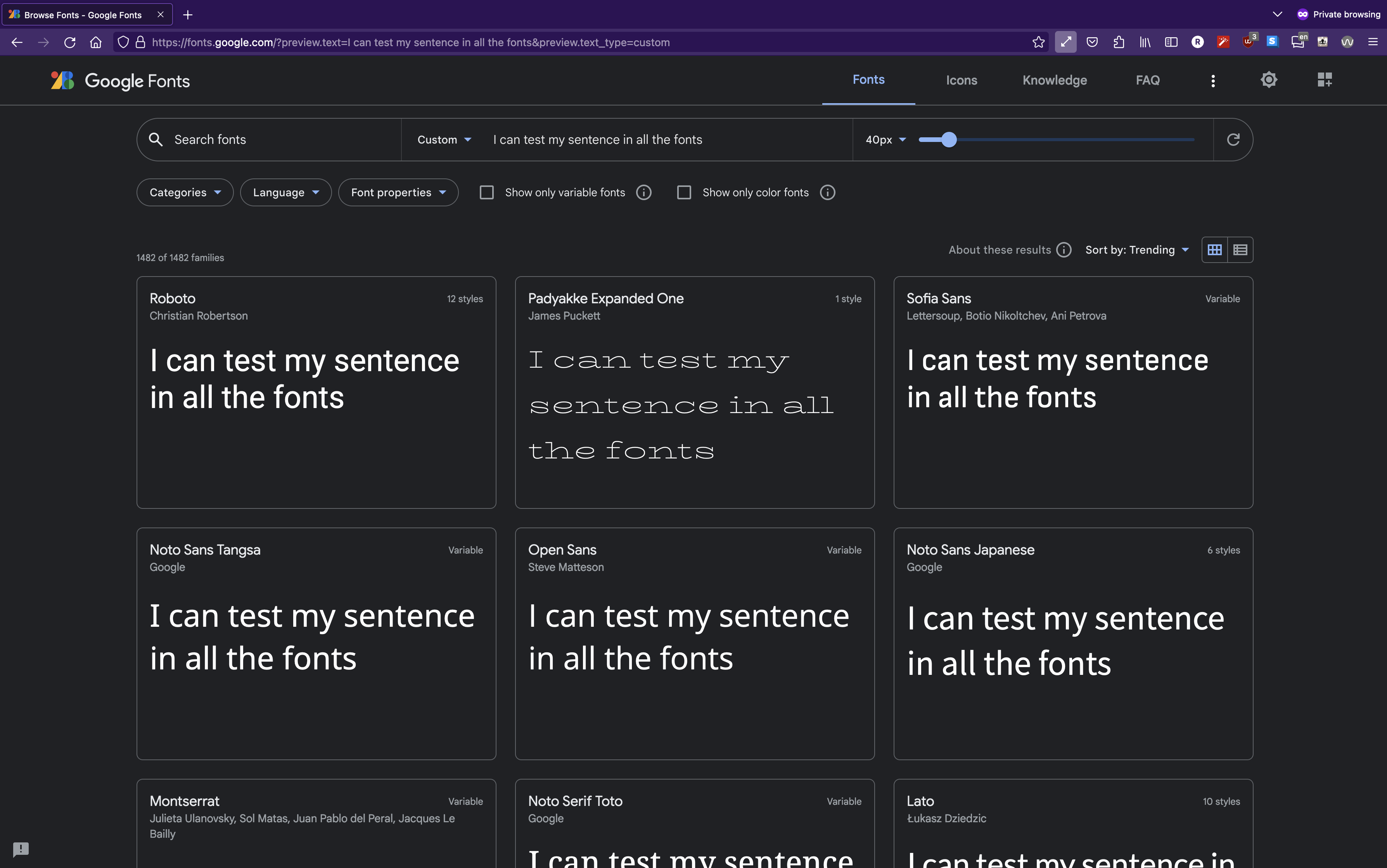 google fonts with custom sentence screenshot
