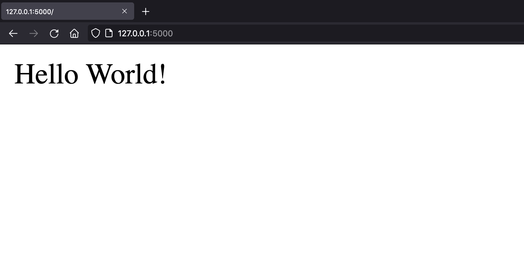 result of opening up localhost:5000 in the browser