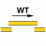 IMO A.654(16) IMPA 33.6776 B-class self closing sliding fire door (watertight door) sign — Fire Control Plan (ISO 17631) safety pictogram