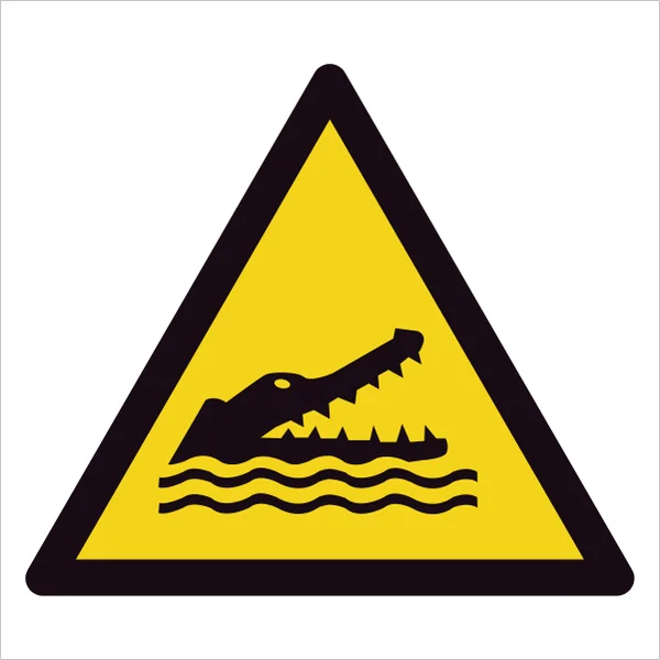 ISO 7010 W067 Crocodiles, alligators or caymans sign — Warning / Hazard safety pictogram