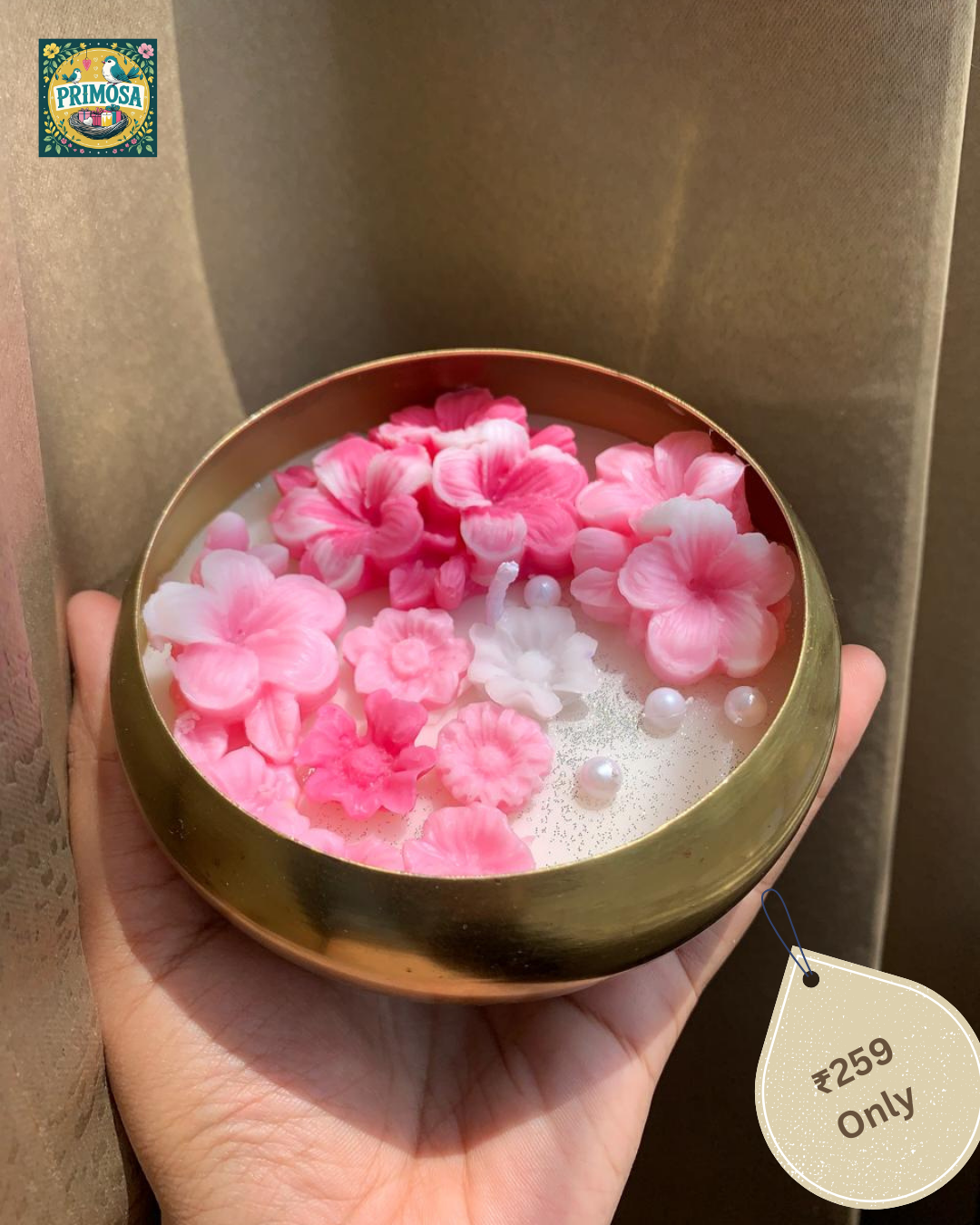 Blush plumeria urli | Primosa