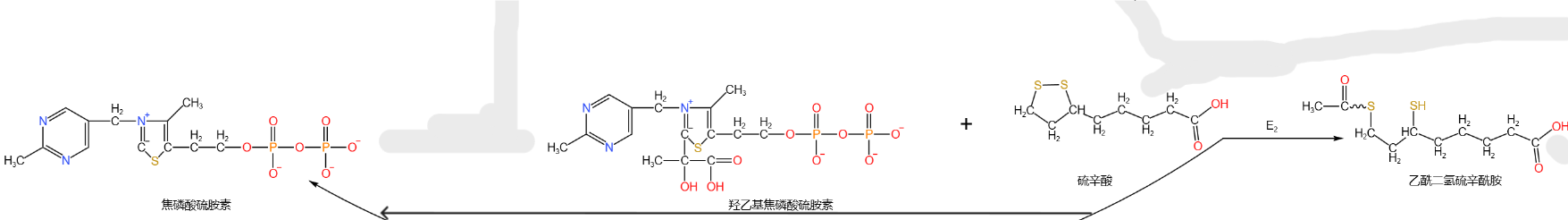 Ac-dihydrolipoamide_TPP