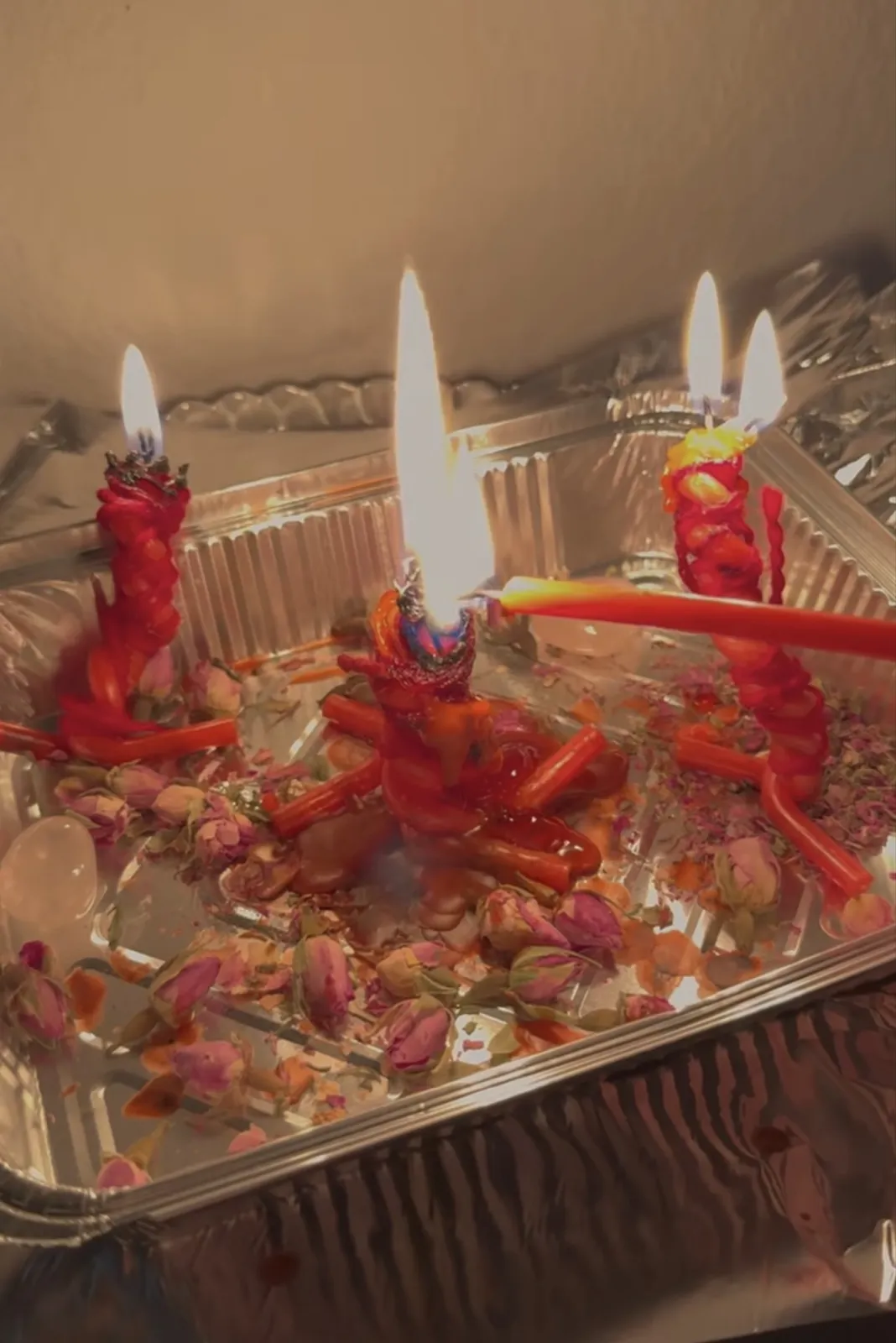 Sesiones Virtuales Disponibles