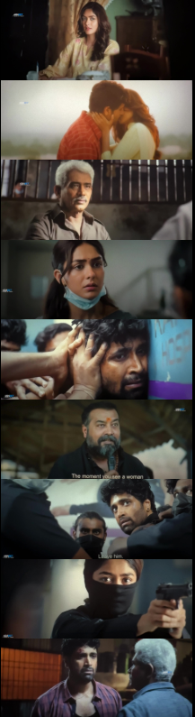 Download Dacoit 2026 full movie in hindi HDTC 1080p 720p & 480p [x264/HEVC] | hdmoviehub screenshots