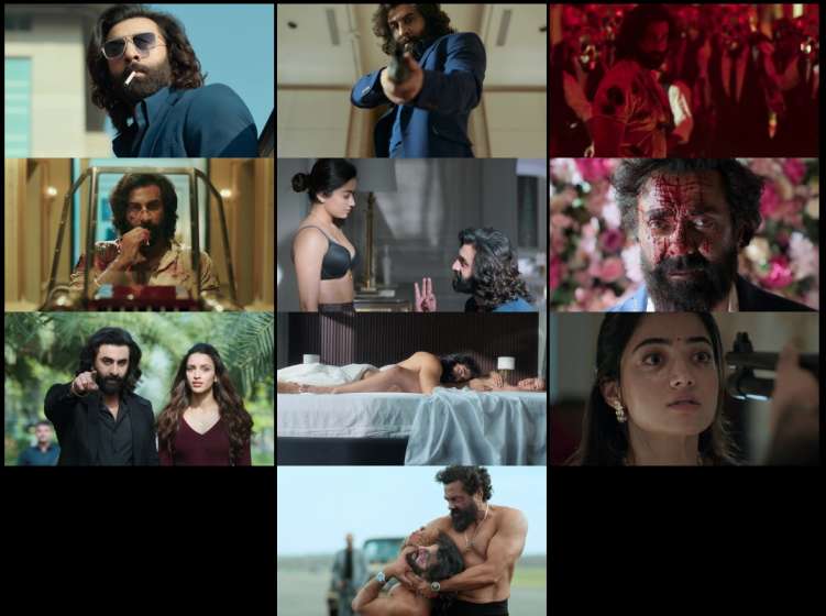 Animal (2023) Hindi Full Movie 480p 720p 1080p 2160p 4k screenshots