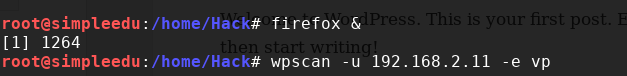 image-20250502180328197