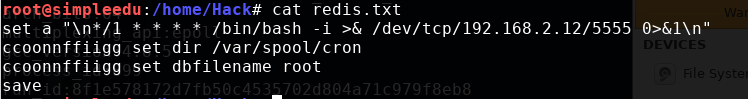 image-20250504124930553