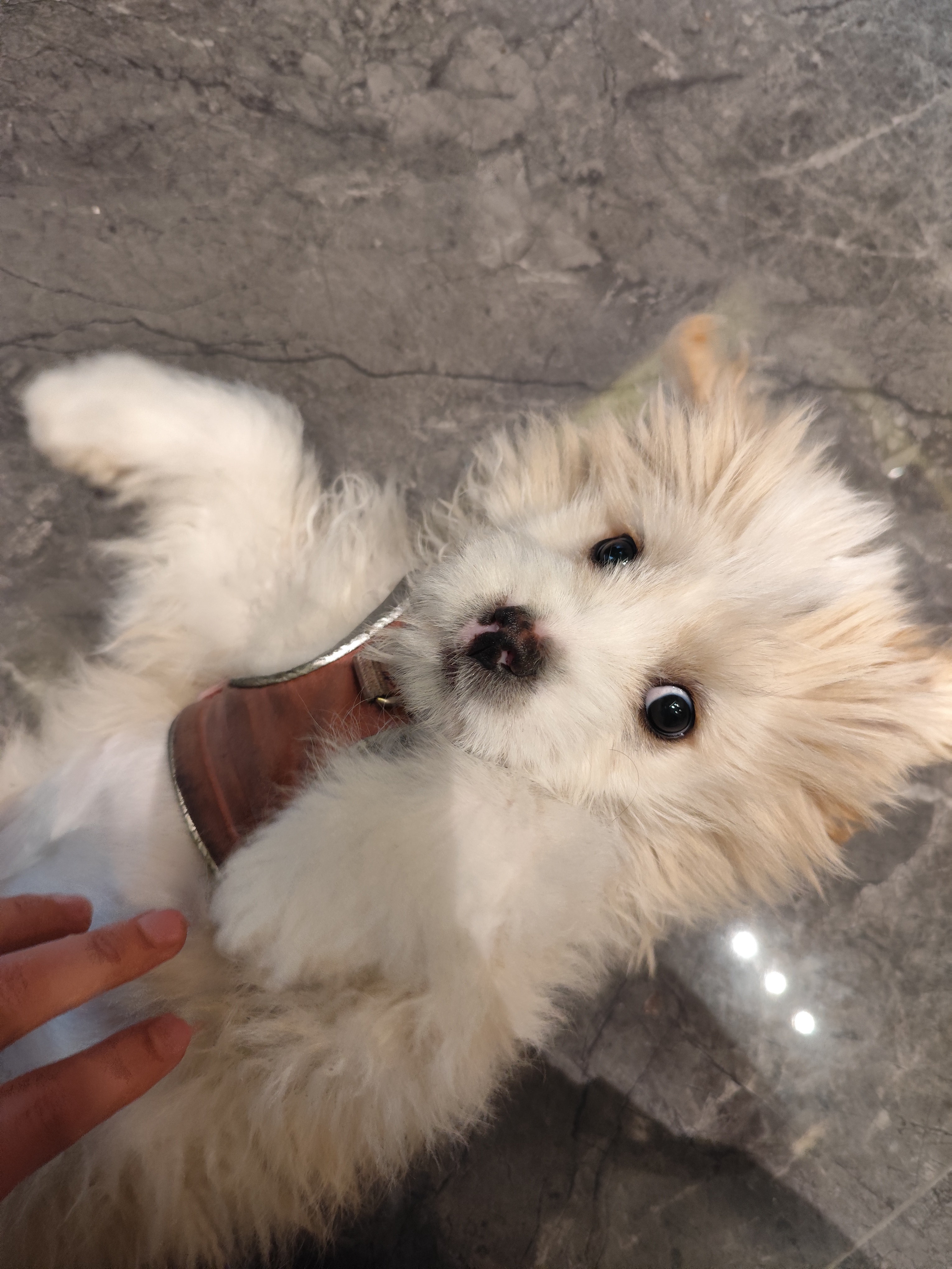 a67b5e493a9aa03cb2d070d69e80a0e7